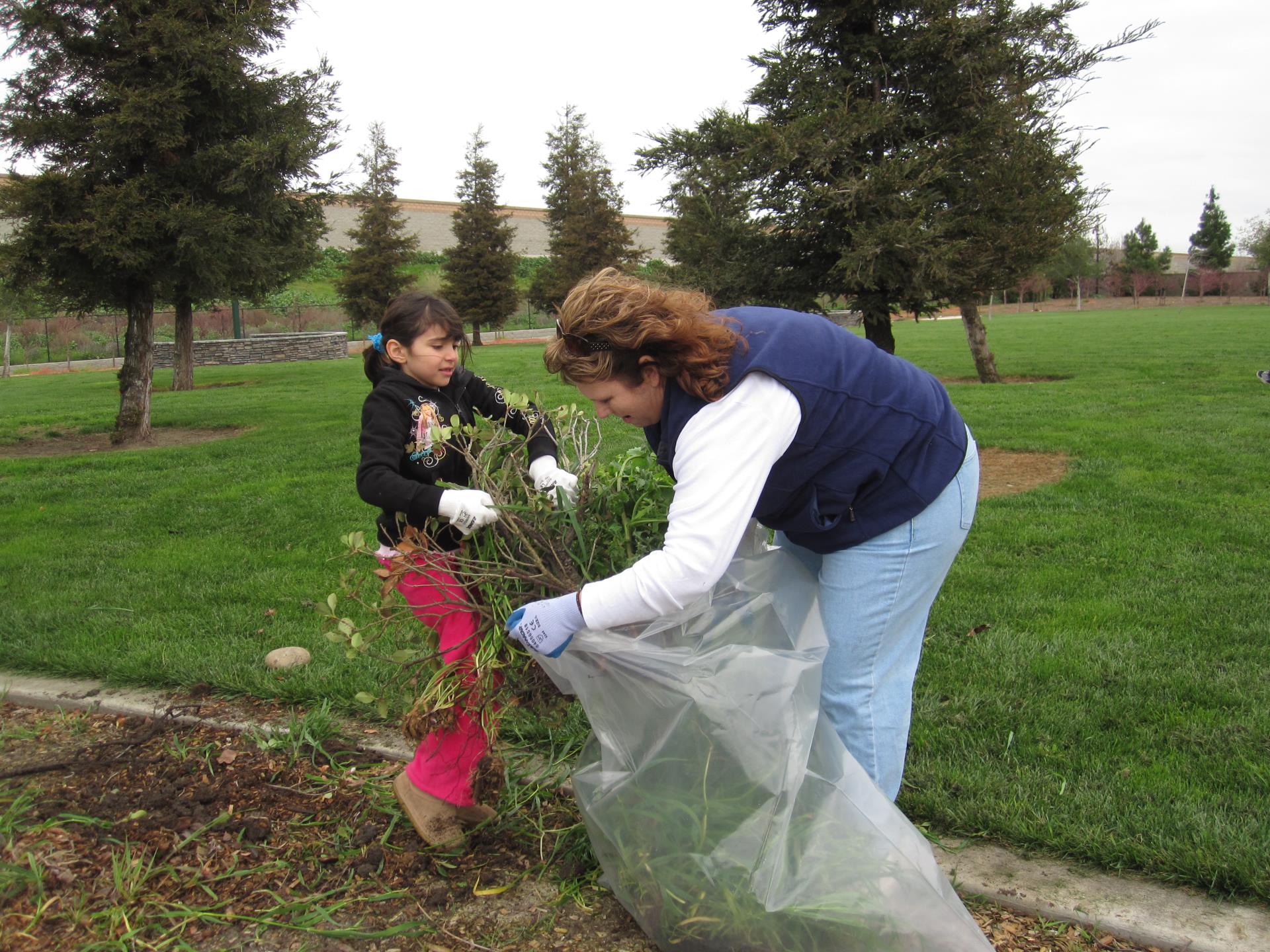 Park Clean-Up