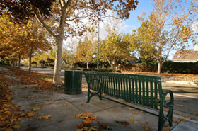 bench