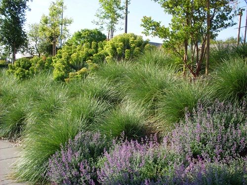 Santa Rosa Demonstration Garden